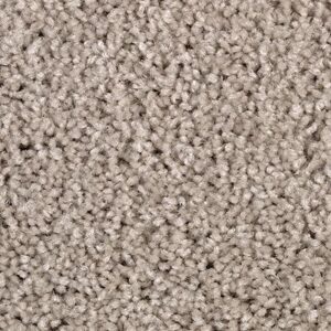 Karastan Delightful Charm SmartStrand Carpet Aspen Glow
COLOR #9819