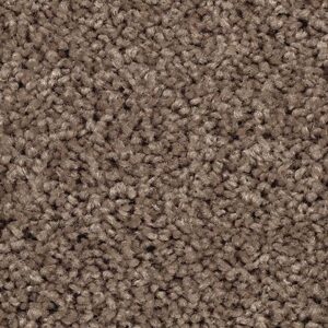 Karastan Delightful Charm SmartStrand Carpet Noveaux
COLOR #9849
