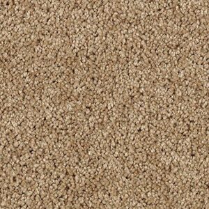 Karastan Delightful Charm SmartStrand Carpet Sequoia
COLOR #9852