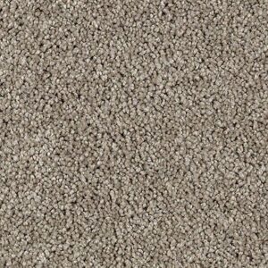 Karastan Delightful Charm SmartStrand Carpet Milkshake
COLOR #9869
