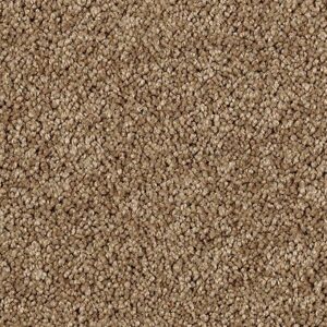 Karastan Delightful Charm SmartStrand Carpet Sunburnt
COLOR #9872