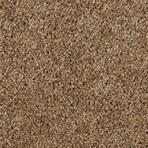 Karastan Delightful Charm SmartStrand Carpet Prairie Sunset
COLOR #9882