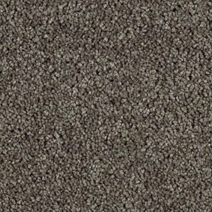 Karastan Delightful Charm SmartStrand Carpet Truffle
COLOR #9889