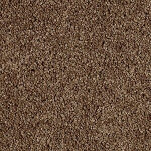 Karastan Delightful Charm SmartStrand Carpet Raw Sienna
COLOR #9898