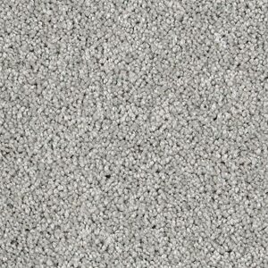 Karastan Delightful Charm SmartStrand Carpet Dewkist
COLOR #9939