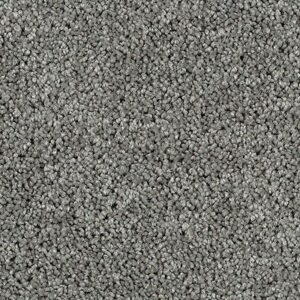 Karastan Delightful Charm SmartStrand Carpet Early Evening
COLOR #9959