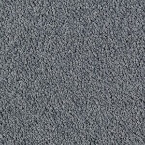 Karastan Luxurious Beauty SmartStrand Silk Carpet Crown Jewel 9559
