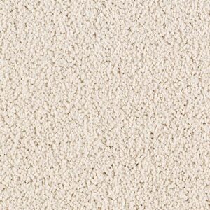 Karastan Luxurious Beauty SmartStrand Silk Carpet Frosted Reflections 9702