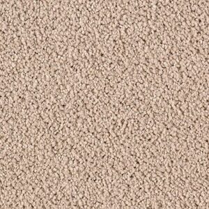 Karastan Luxurious Beauty SmartStrand Silk Carpet Manuscript 9750