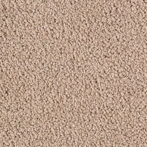 Karastan Luxurious Beauty SmartStrand Silk Carpet Jute 9754