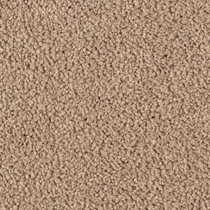 Karastan Luxurious Beauty SmartStrand Silk Carpe tEasily Suede 9831