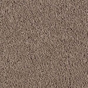 Karastan Luxurious Beauty SmartStrand Silk Carpet Bittersweet 9837