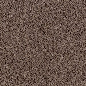 Karastan Luxurious Beauty SmartStrand Silk Carpet Brindle 9875