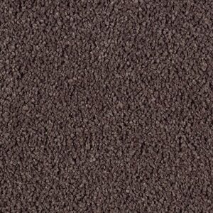 Karastan Luxurious Beauty SmartStrand Silk Carpet Antigua Brown 9879