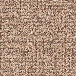 Karastan Artistic Charm Kashmere Carpet Mushroom 9789