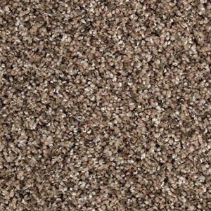 Karastan Rustic Revival SmartStrand Silk Carpet Ceramic Beige 9765