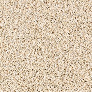 Karastan Tranquil Shades Kasmere Carpet Daydream
COLOR #9712
