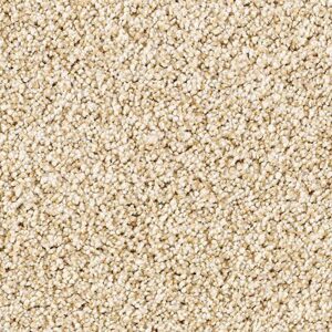 Karastan Tranquil Shades Kasmere Carpet Moonrise
COLOR #9736