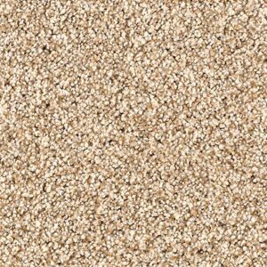 Karastan Tranquil Shades Kasmere Carpet Parchment
COLOR #9741
