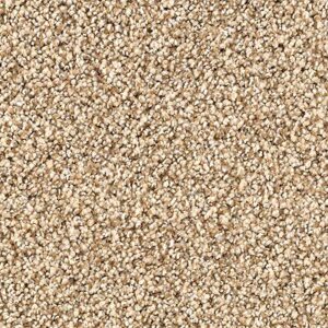 Karastan Tranquil Shades Kasmere Carpet Heirloom
COLOR #9757
