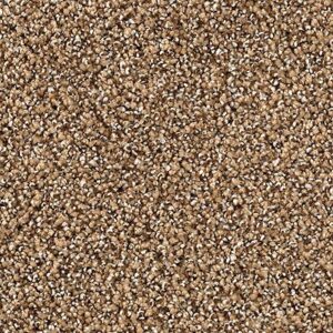 Karastan Tranquil Shades Kasmere Carpet Cattail
COLOR #9787
