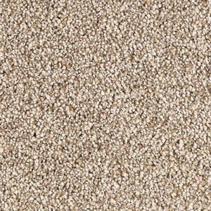 Karastan Tranquil Shades Kasmere Carpet Mineral
COLOR #9809