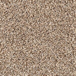 Karastan Tranquil Shades Kasmere Carpet Folkstone
COLOR #9837