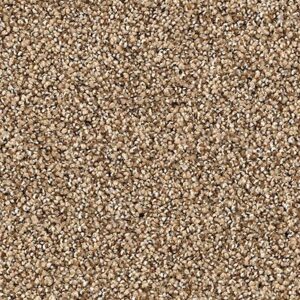 Karastan Tranquil Shades Kasmere Carpet Haven
COLOR #9841