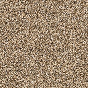 Karastan Tranquil Shades Kasmere Carpet Homespun
COLOR #9849