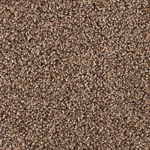 Karastan Tranquil Shades Kasmere Carpet Sequoia
COLOR #9875