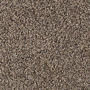 Karastan Tranquil Shades Kasmere Carpet Boulevard
COLOR #9968