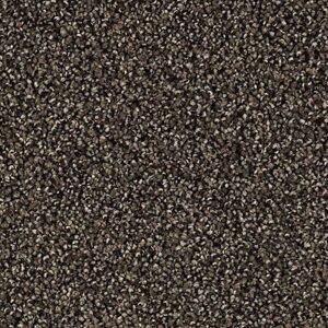 Karastan Tranquil Shades Kasmere Carpet Wrought Iron
COLOR #9989