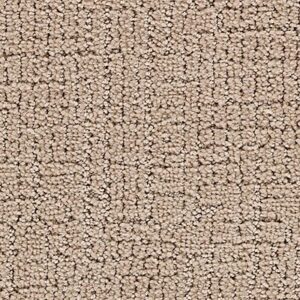 Karastan Delicate Path Smartstrand Silk Carpet Mayfly 9738