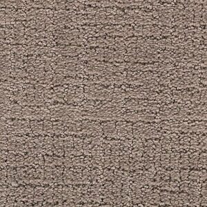 Karastan Delicate Path Smartstrand Silk Carpe tEaglet 9789