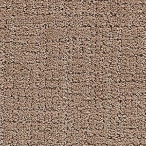 Karastan Delicate Path Smartstrand Silk Carpet Mansion 9824