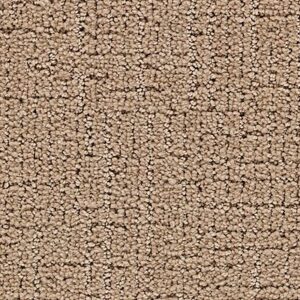 Karastan Delicate Path Smartstrand Silk Carpet Wedge 9862