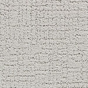 Karastan Delicate Path Smartstrand Silk Carpet Ice Cap 9919