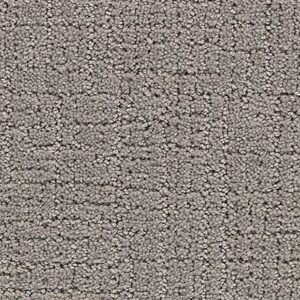 Karastan Delicate Path Smartstrand Silk Carpet Highway 9957