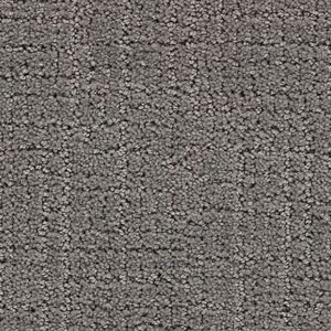 Karastan Delicate Path Smartstrand Silk Carpet Gun Powder 9966