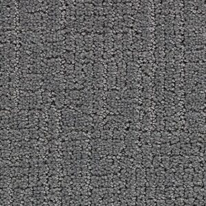 Karastan Delicate Path Smartstrand Silk Carpet Fine Line 9976