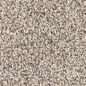 Karastan Desired Elegance SmartStrand Silk Seashell 9735