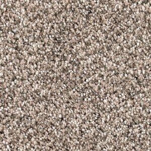 Karastan Desired Elegance SmartStrand Silk Hearthstone 9776