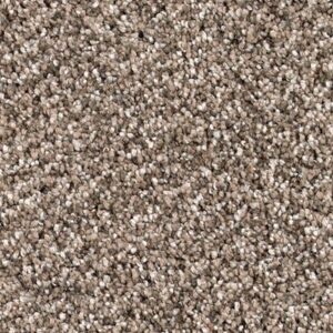 Karastan Desired Elegance SmartStrand Silk Winter Bark 9786