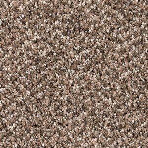 Karastan Desired Elegance SmartStrand Silk Kindling 9787