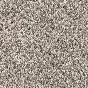 Karastan Desired Elegance SmartStrand Silk Tradewinds 9916