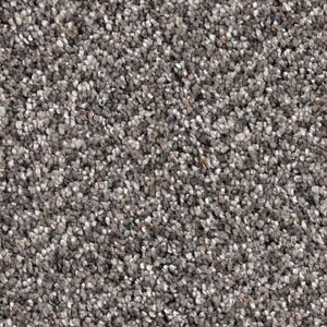 Karastan Desired Elegance SmartStrand Silk Wrought Iron 9957