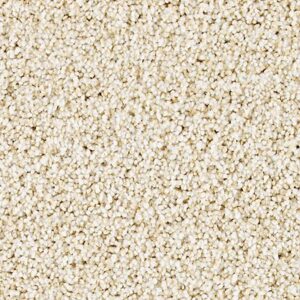 Karastan Castle Grounds Kashmere Carpet Wild Silk
COLOR #9709