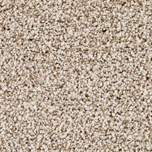 Karastan Castle Grounds Kashmere Carpet Contessa 9719