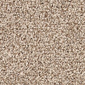 Karastan Castle Grounds Kashmere Carpet Shadow Pearl 9729