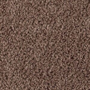Karastan Soft Elequence SmartStrand Silk Lyrical 9343